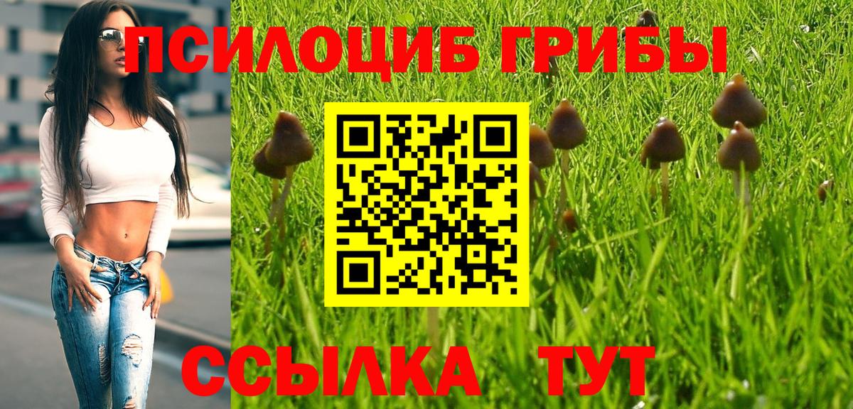 APVP Луховицы