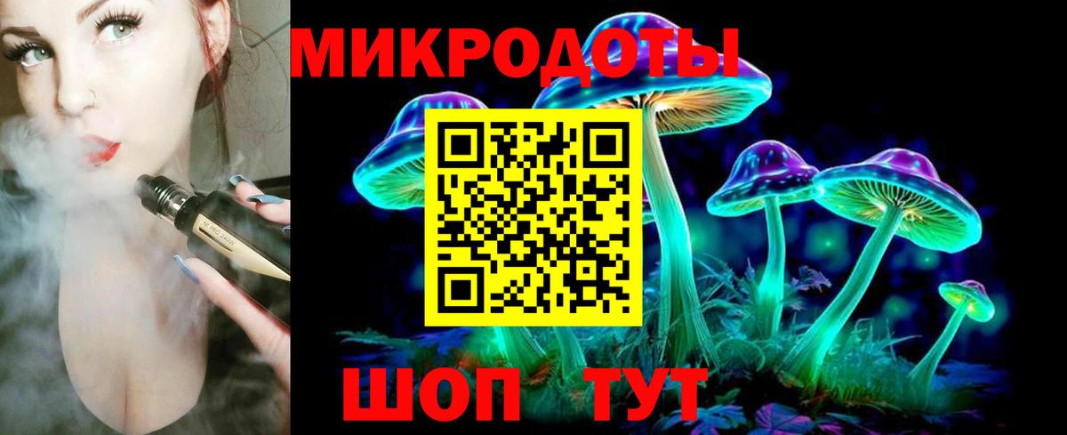 Галлюциногенные грибы Psilocybe  Вход с VPN  Луховицы 
