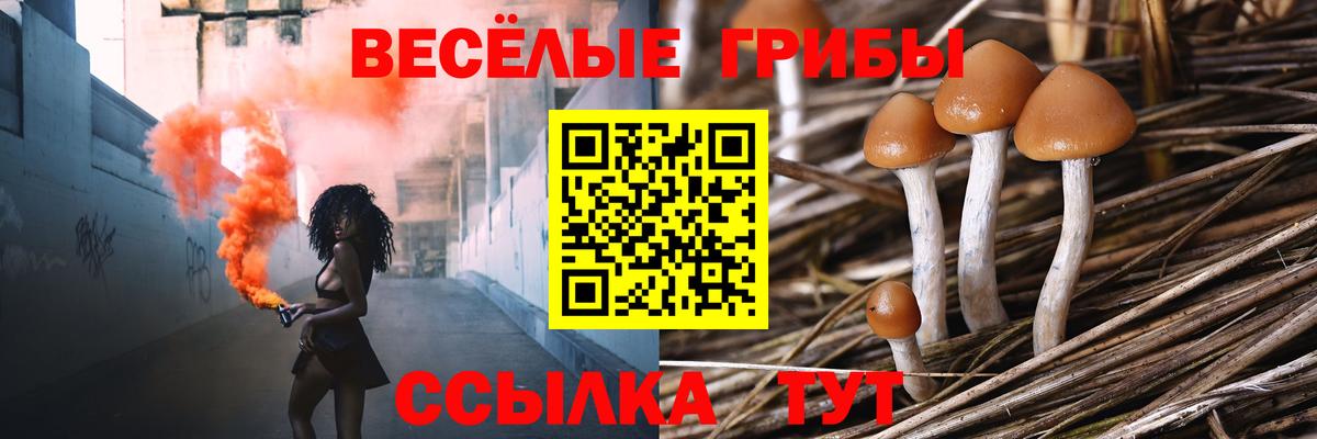 Псилоцибиновые грибы Magic Shrooms Луховицы